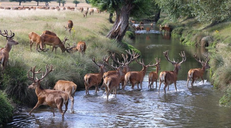 Досуг: Потрясающие места для прогулок: Вы не поверите, что все еще в Лондоне