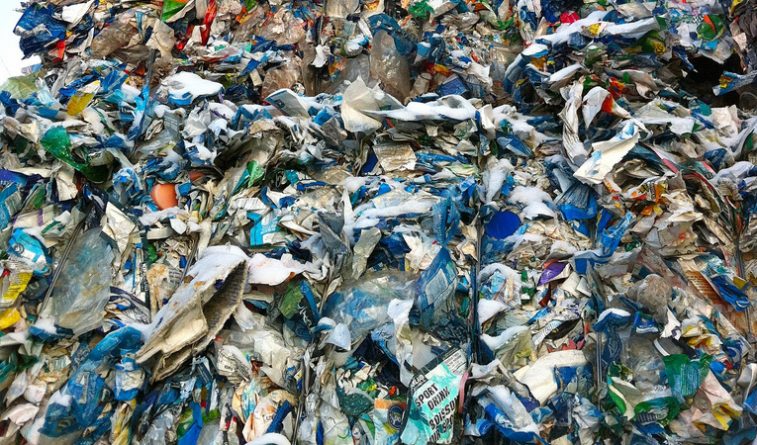 В мире: Девушка-фотограф запечатлела густой пластиковый покров Карибского моря