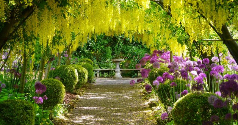 Галерея: Самые красивые места Британии: Сад Дороти Клайв