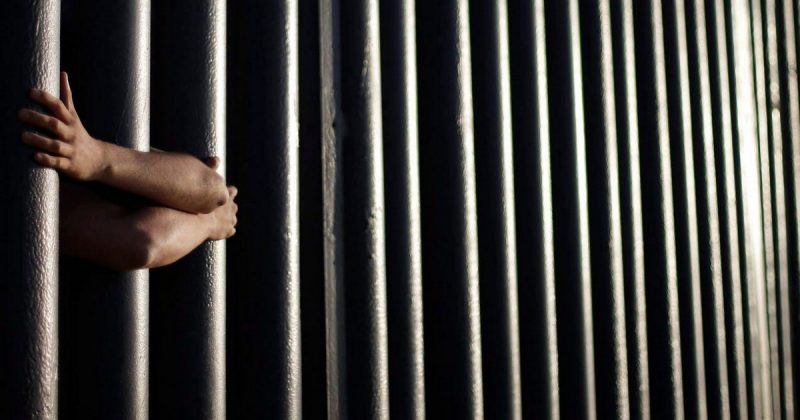 Происшествия: В Европе и Великобритании арестованы десятки контрабандистов – торговцев живым товаром