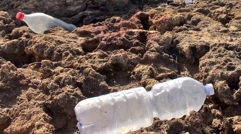 Пластиковые бутылки дадут прибыль 11102017 Бизнес и финансы: Пластиковые бутылки дадут прибыль