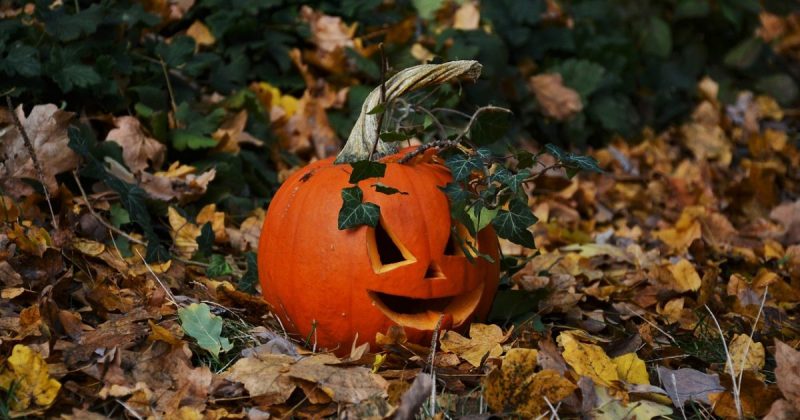 Досуг: Все, что нужно знать о Хеллоуине