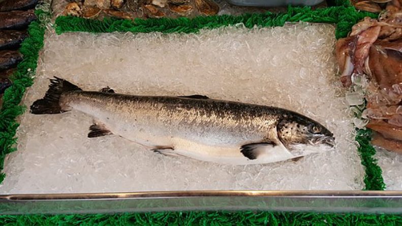 Здоровье и красота: В лососе, который продают Tesco и Sainsbury's, в 20 раз больше паразитов, чем допускается