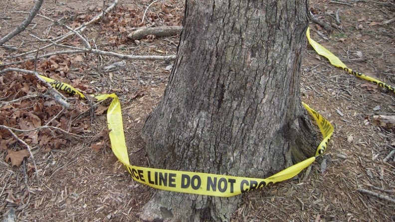 Происшествия: Молодая пара, пропавшая в канун Хеллоуина, найдена мертвой в лесу