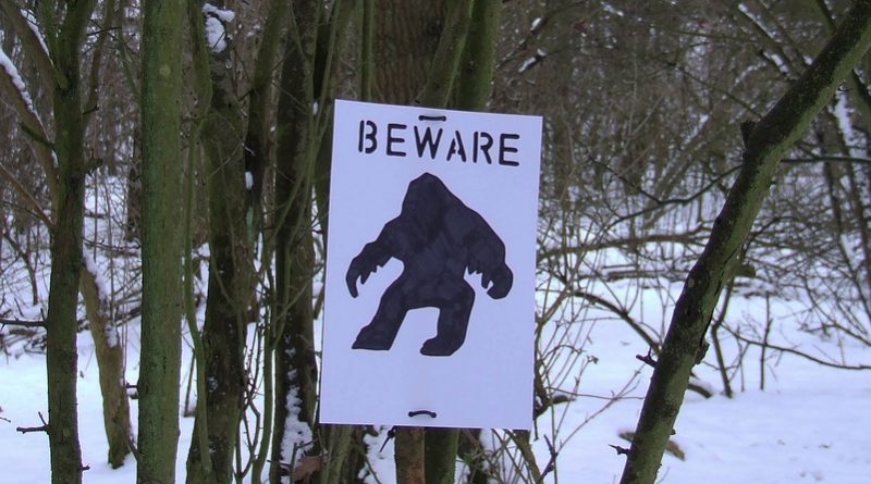 Останки снежного человека на самом деле принадлежат медведям 29112017 В мире: Останки снежного человека на самом деле принадлежат медведям