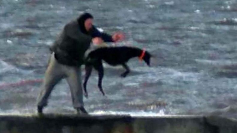 Общество: Мужчина несколько раз бросал свою собаку в ледяное море