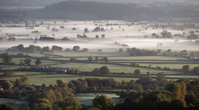 "Зеленый Brexit" от Майкла Гоува 12112017 Закон и право: "Зеленый Brexit" от Майкла Гоува