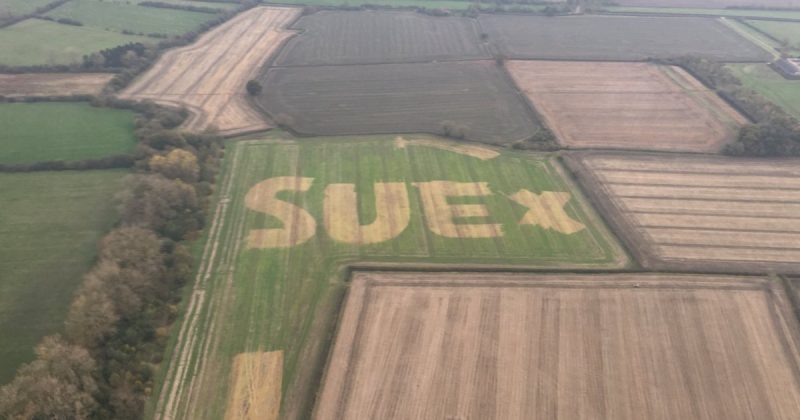 Общество: Загадочная надпись на оксфордширском поле запуcтила кампанию в Twitter