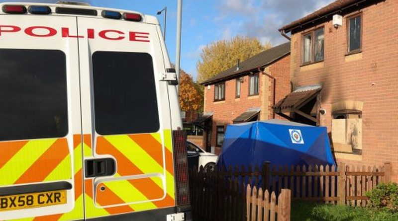 Полиция арестовала подозреваемого в убийстве фейерверком 16112017 Закон и право: Полиция арестовала подозреваемого в убийстве фейерверком