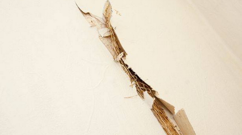 Недвижимость: В Ноттингеме растение разрушает стену дома