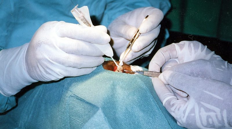 Хирург, оставивший инициалы на печени пациентов, предстал перед судом 14122017 Закон и право: Хирург, оставивший инициалы на печени пациентов, предстал перед судом