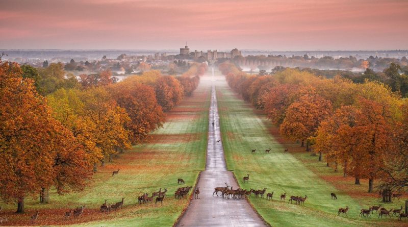 Путешествия: Чем заняться в Виндзоре: романтические каникулы всего в получасе езды от Лондона