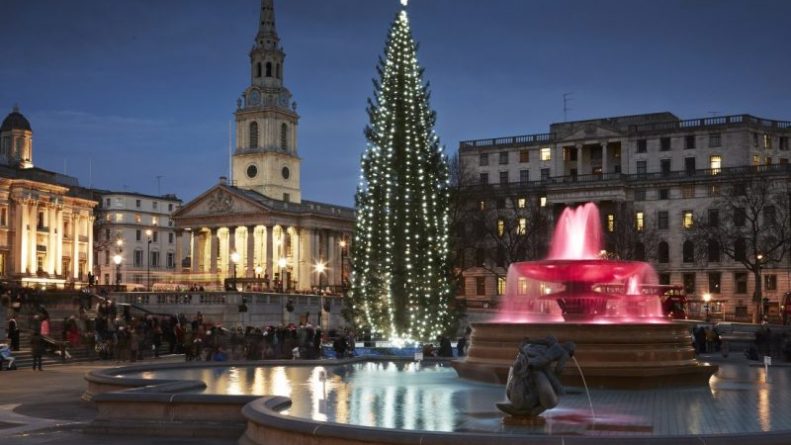 Досуг: Рождественская ель на Трафальгарской площади вспыхнет огнями в четверг
