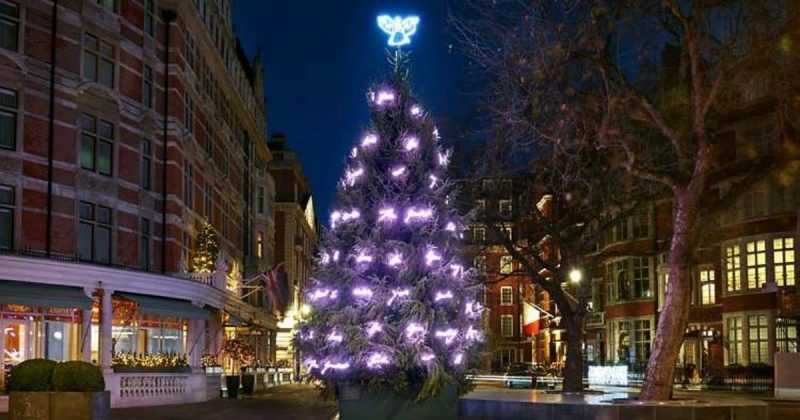 Досуг: Самые красивые рождественские елки в Лондоне