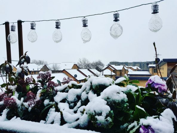 Происшествия: Лондон засыпало снегом