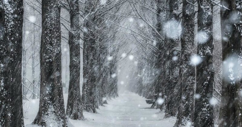 Погода: В некоторых регионах Британии прошло "Белое Рождество", и впереди еще больше снега