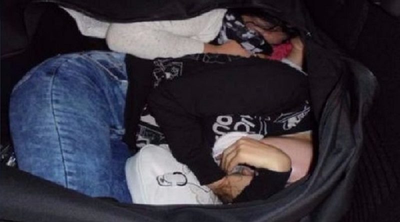 Контрабандистов "живого товара" приговорили к тюремному сроку 19122017 Закон и право: Контрабандистов "живого товара" приговорили к тюремному сроку