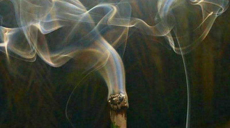 Торговец наркотиками арестован, приняв полицейскую машину за такси 24122017 В мире: Торговец наркотиками арестован, приняв полицейскую машину за такси