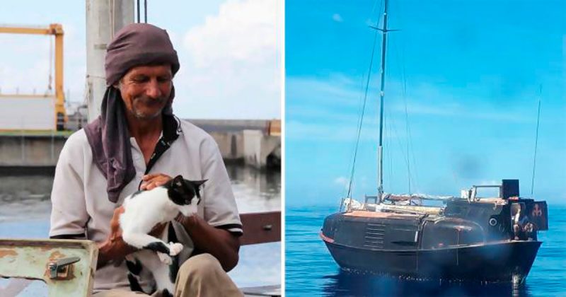 В мире: Моряка и его кошку спасли спустя семь месяцев дрейфования в Индийском океане