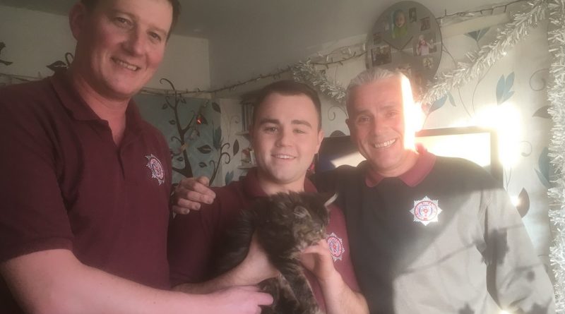 Пожарные развернули операцию по спасению застрявшего в диване котенка 29122017 Происшествия: Пожарные развернули операцию по спасению застрявшего в диване котенка