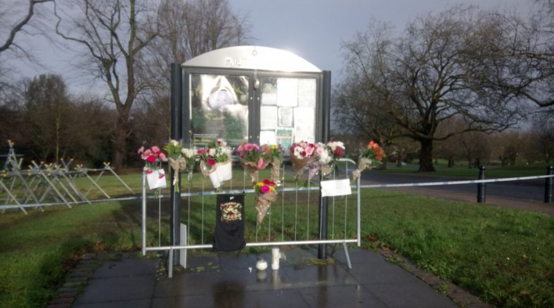 В парке Лондона обнаружена мертвой девушка из Москвы 29122017 Происшествия: В парке Лондона обнаружена мертвой девушка из Москвы