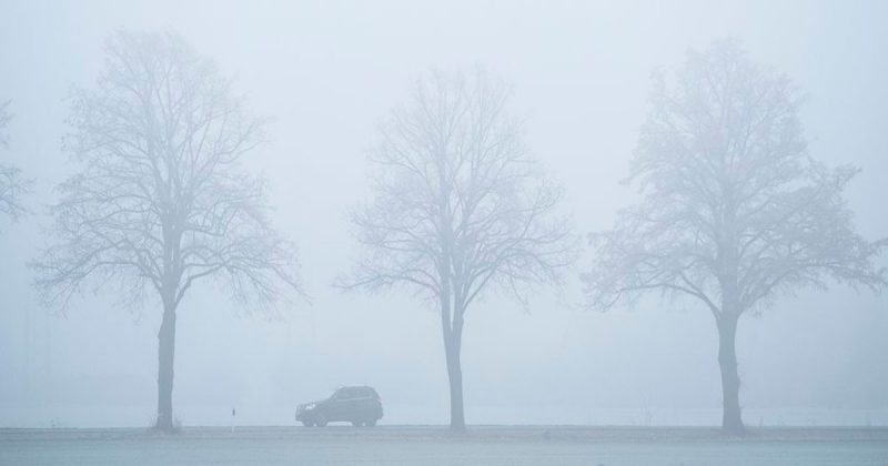 Погода: Во вторник транспортное сообщение будет серьезно затруднено из-за густого тумана