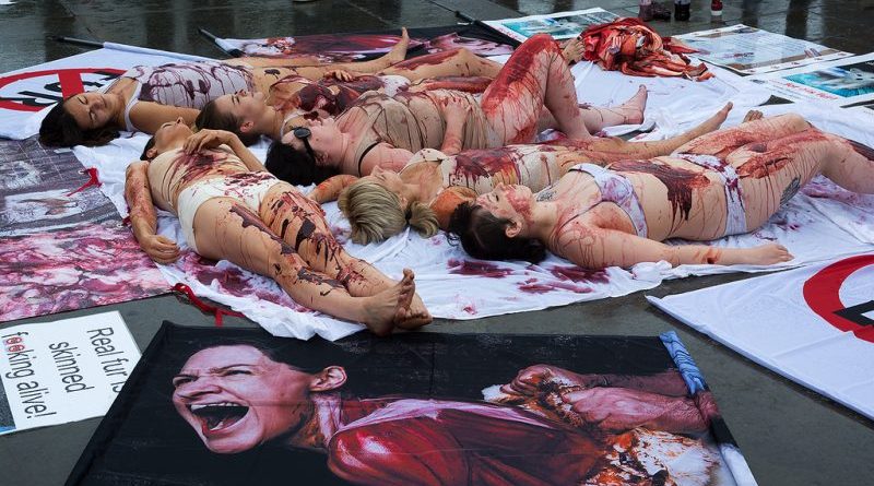 Происшествия: Активисты по защите прав животных получили срок за террор