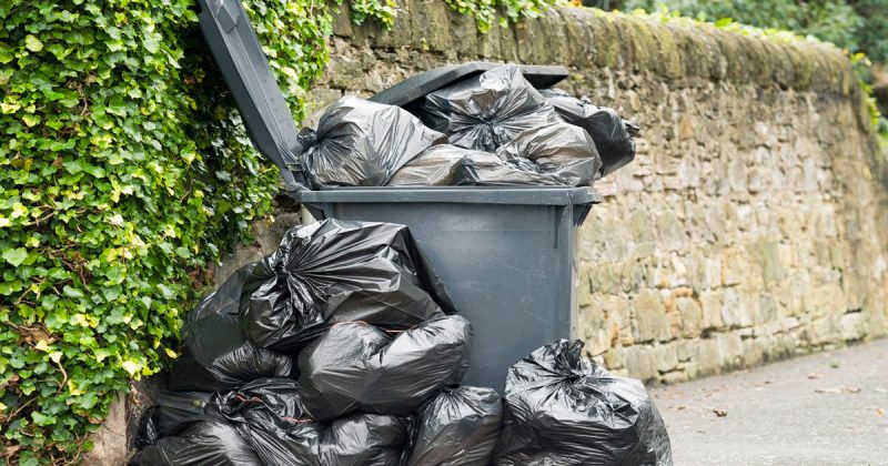 Лайфхаки и советы: Нерешенная вовремя проблема мусора может стоить вам £2500. Как этого избежать