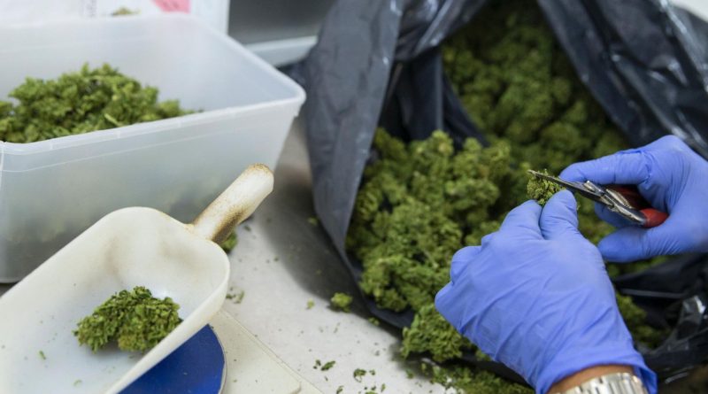 Закон и право: Продавцы марихуаны используют обычную почту для доставки товара