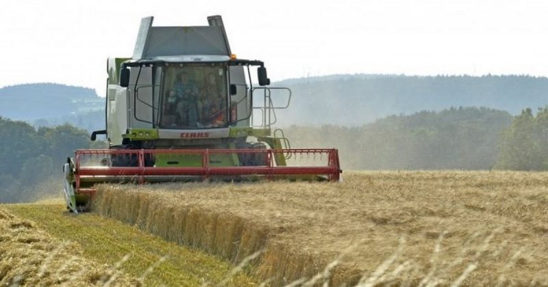 Бизнес и финансы: Фермеры опасаются торговой сделки по Brexit