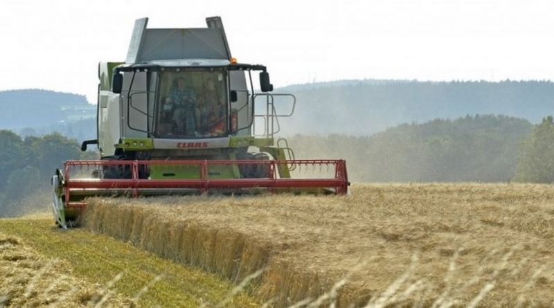 Фермеры опасаются торговой сделки по Brexit 04012018 Бизнес и финансы: Фермеры опасаются торговой сделки по Brexit