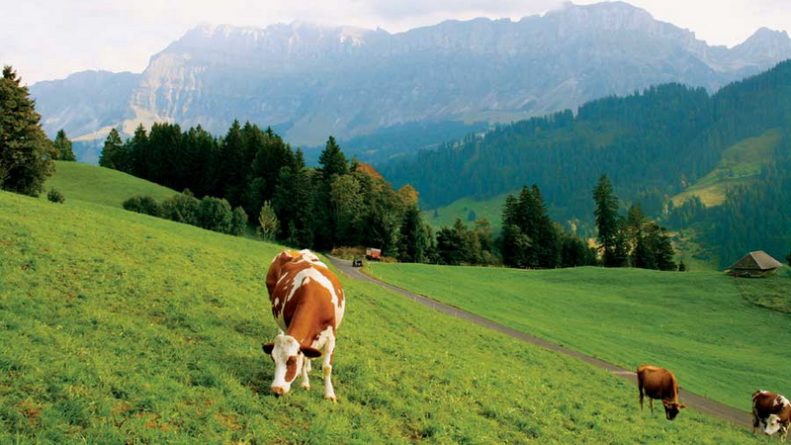 Бизнес и финансы: Британских фермеров ждет поддержка по примеру Швейцарии