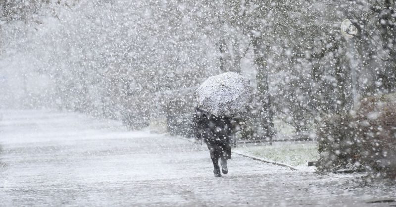 Погода: Непогода оставила много британских домов без электричества