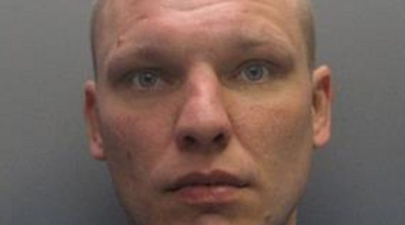 Напавший на двухлетнюю девочку преступник оценил ее жизнь в £130 13022018 Происшествия: Напавший на двухлетнюю девочку преступник оценил ее жизнь в £130