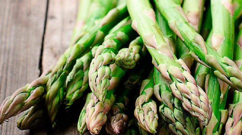 Здоровье и красота: Ученые нашли способ замедлить процесс метастазирования рака молочной железы