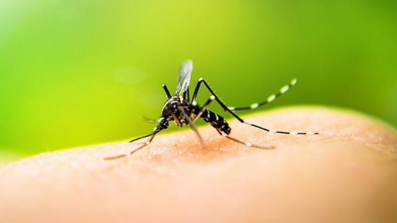 В мире: Филиппины охватил страх из-за вакцины от лихорадки денге
