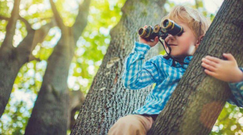 В Лондоне начнут штрафовать на £500 за лазанье по деревьям, воздушных змеев и крикет в парках 17022018 Закон и право: В Лондоне начнут штрафовать на £500 за лазанье по деревьям, воздушных змеев и крикет в парках