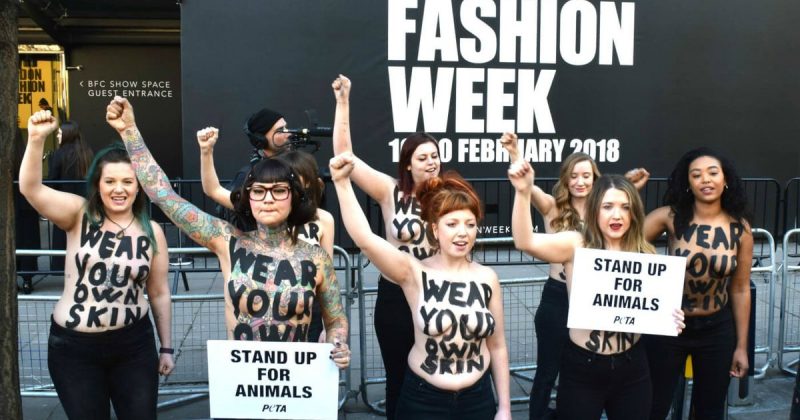 Общество: Открытие Лондонской недели моды ознаменовалось топлес-протестом защитников животных