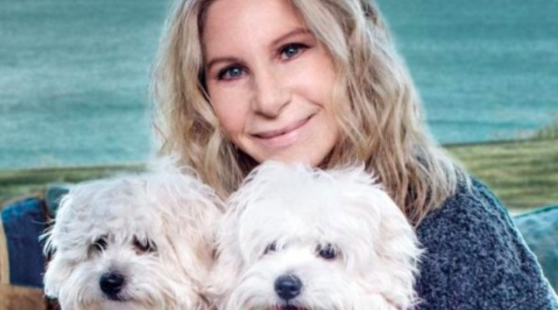 В мире: Барбра Стрейзанд дважды клонировала свою умершую собаку 