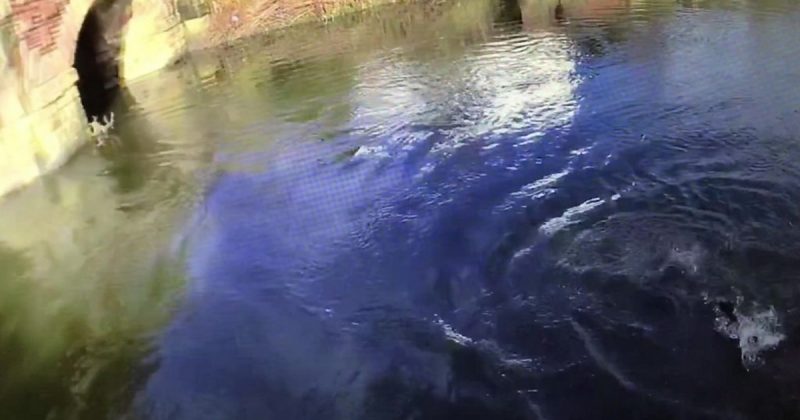 Происшествия: Не умеющий плавать британский полицейский спас утопающего в глубокой реке