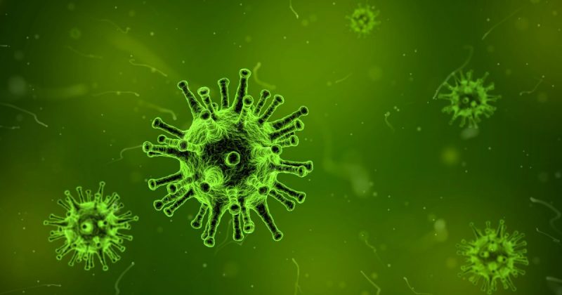 Здоровье и красота: Этой зимой вспышка гриппа в Великобритании унесла жизни 231 человека