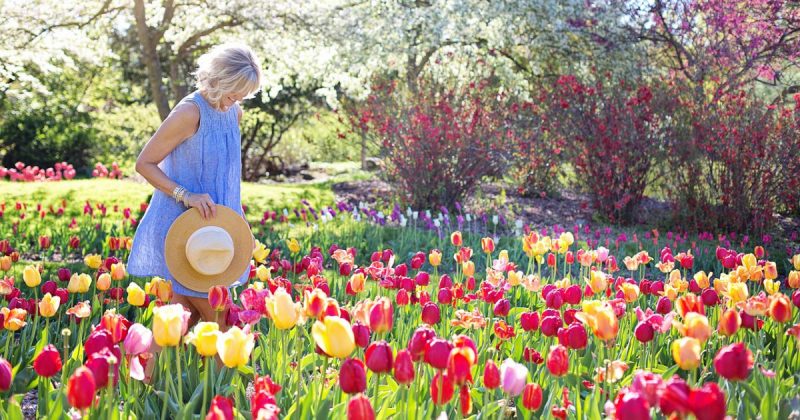 Досуг: 7 самых "цветочных" мест в Лондоне: весна принесет в столицу все краски радуги