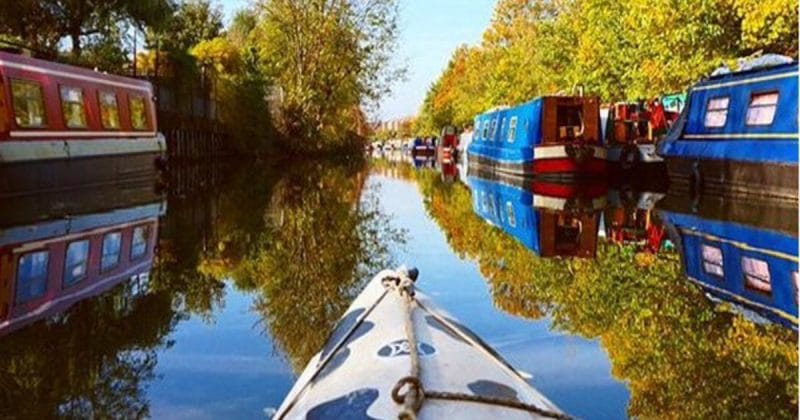 Досуг: Гламууурненько! Moo Canoes предлагают покататься на жизнерадостных каяках и каноэ по водоемам Лондона