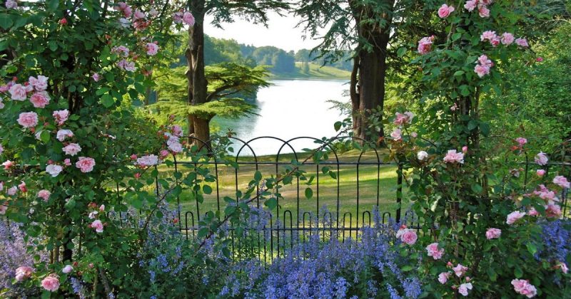 Сады Англии Фото
