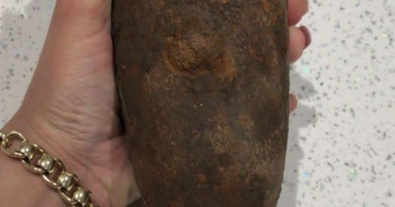 Общество: Девушка принесла домой гранату, перепутав ее с картошкой