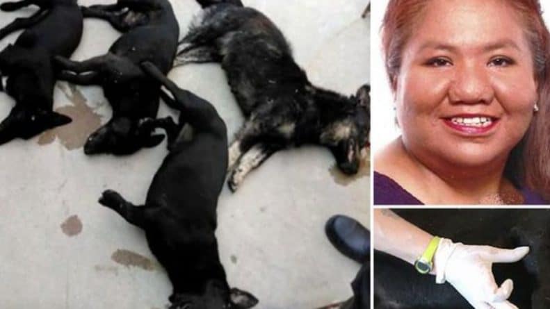Общество: Совсем нехорошие собачки: мать двоих детей была замучена до смерти стаей злобных такс