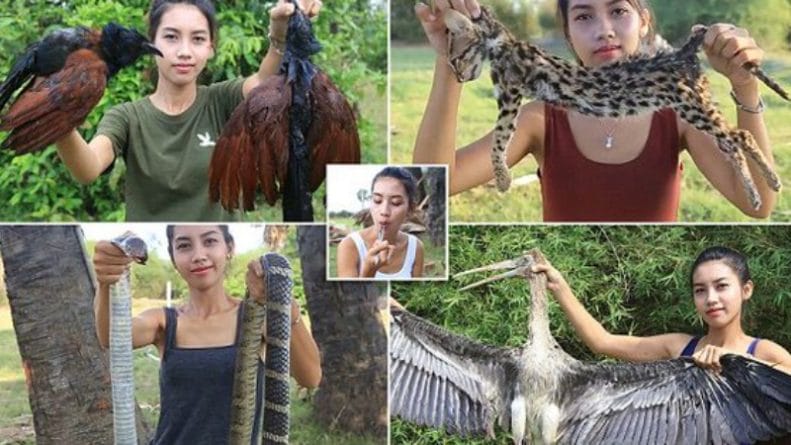 В мире: Гурманы-живодеры: супруги решили заработать денег на YouTube, показывая как готовить еду из редких животных