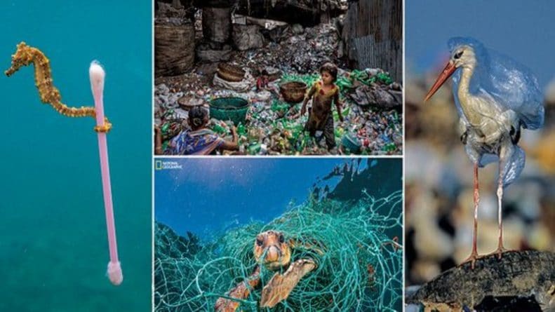 Общество: National Geographic представил шокирующие фотографии влияния пластика на морских обитателей и экосистемы