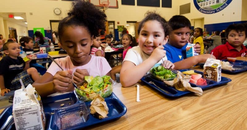 Общество: "Диктаторская" школа запретила ученикам брать с собой обед, а на замену предложила мясо халяль и пищу без глютена