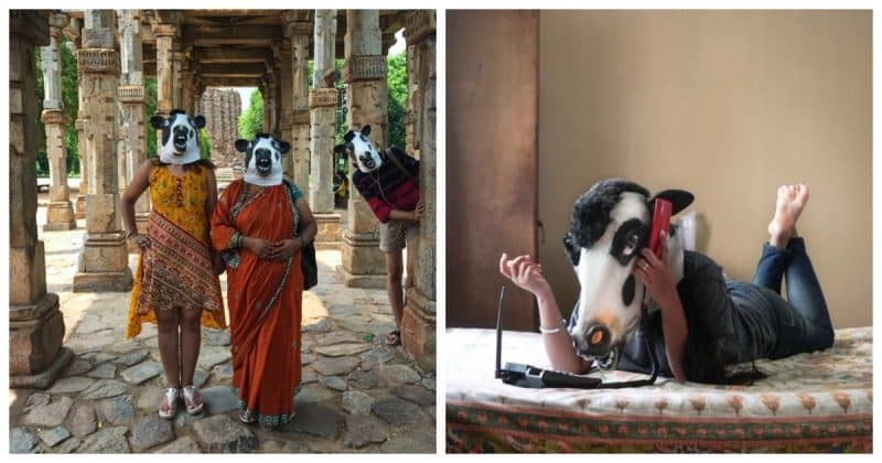 Общество: Корова или женщина: кто чувствует себя более безопасно в Индии?